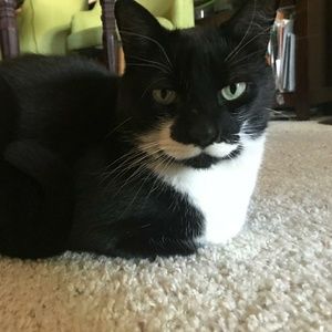 Meet your Posher, Stacy